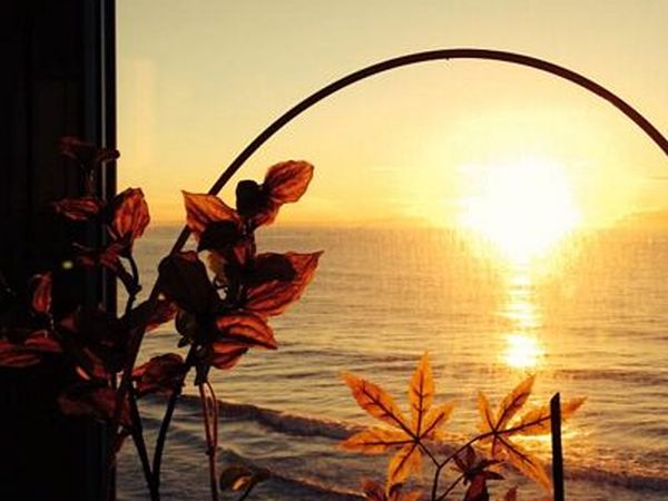 Hotel Badano Sul Mare  - foto 24390.jpg