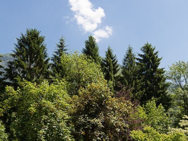 Residence Toli - Casa Lucia - foto 24442.jpg