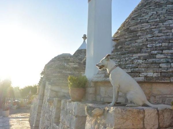Trulli Il Castagno - foto 24583.jpg