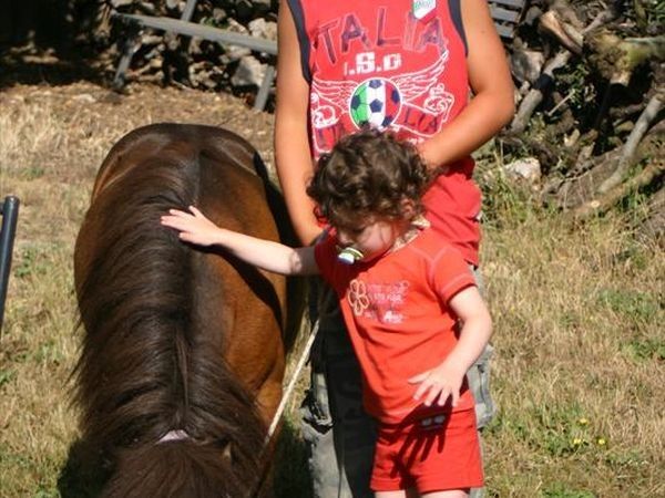 Agriturismo Podere Il Poggiolo - foto 24675.jpg