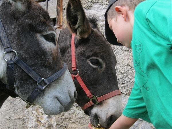 Agritur Dalaip Dei Pape - foto 24741.jpg