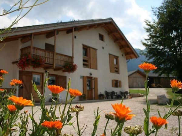 Agritur Dalaip Dei Pape - foto 24743.jpg