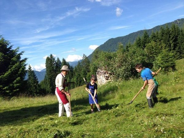 Agritur Dalaip Dei Pape - foto 24744.jpg