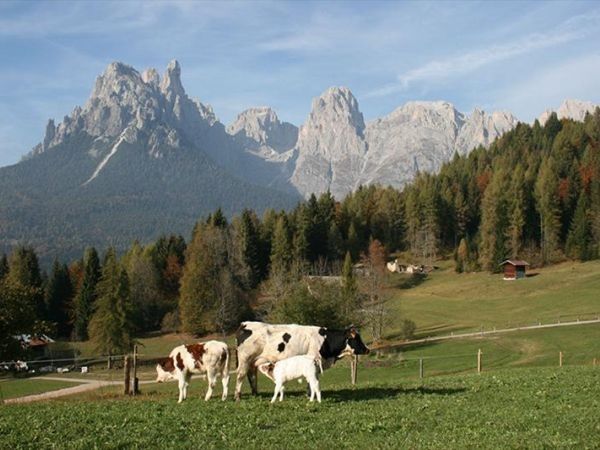 Agritur Dalaip Dei Pape - foto 24745.jpg