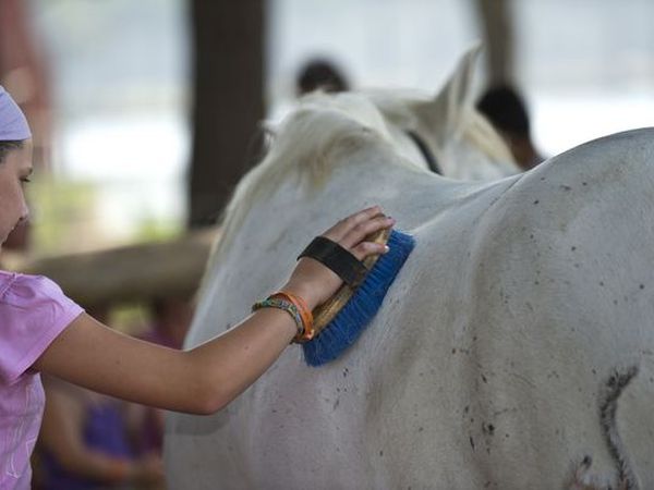Spiaggia Romea - foto 25043.jpg