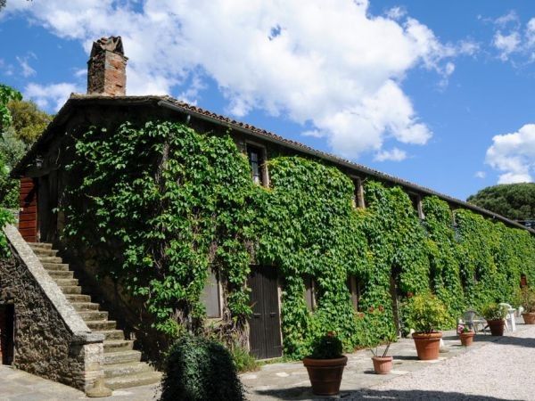 Agriturismo La Dogana - foto 25075.jpg