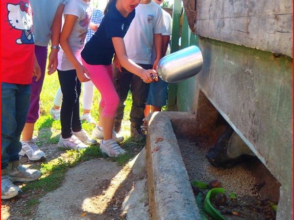 Oasi Agrituristica Baugiano - foto 25129.jpg