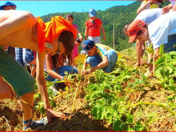 Oasi Agrituristica Baugiano - foto 25130.jpg
