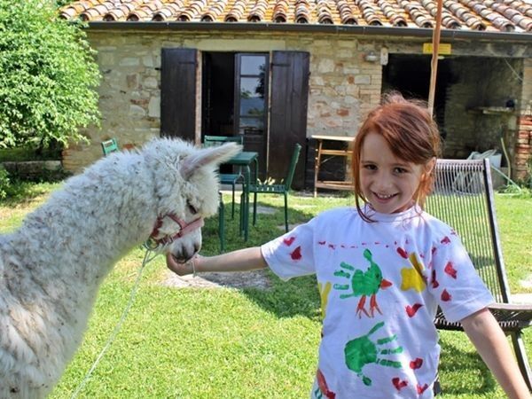 Agriturismo Maridiana Alpaca - foto 25160.jpg