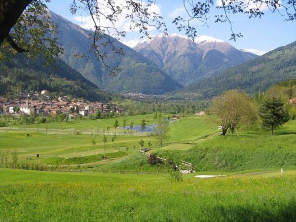 Rosa delle Dolomiti - foto 25323.jpg