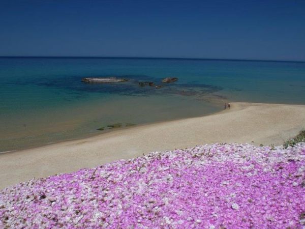 PH Hotel - foto 25526.jpg