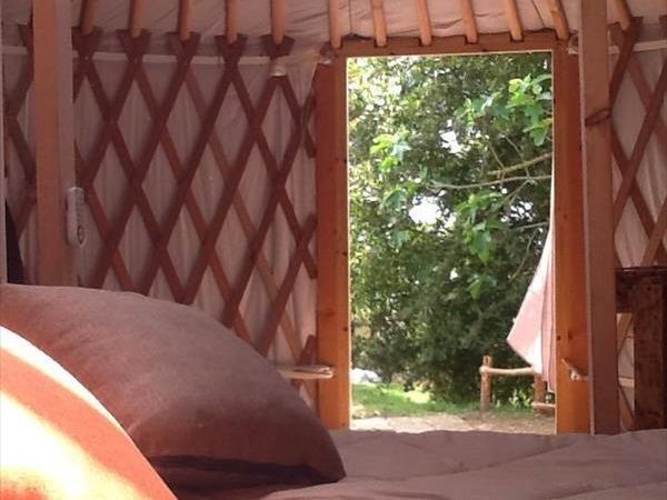 Az Agr. Pietra Serena B&B E YURTA RELAX - foto 25671.jpg