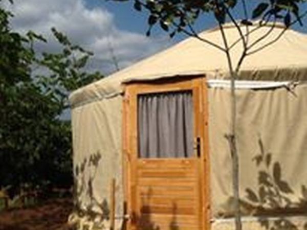 Az Agr. Pietra Serena B&B E YURTA RELAX - foto 25675.jpg