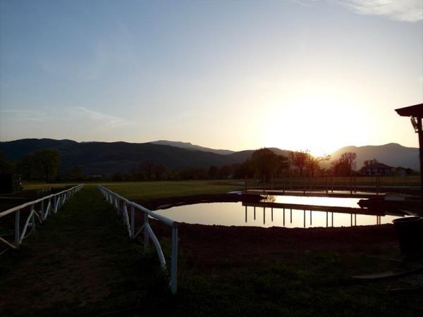 Cà del Conte Agrihouse - foto 25677.jpg