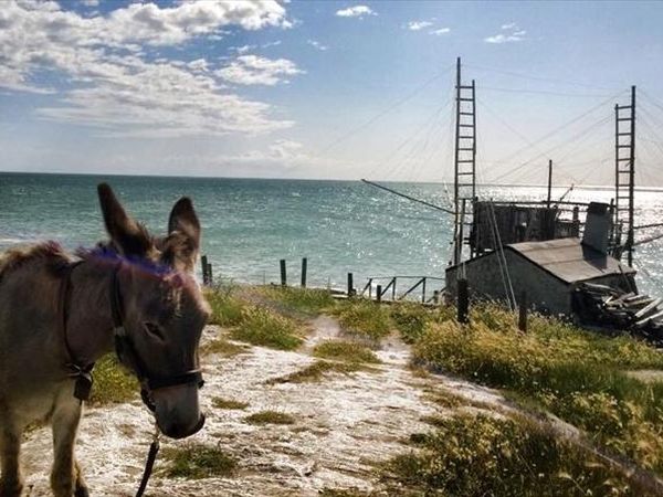 Villaggio Cala Molinella - foto 25800.jpg