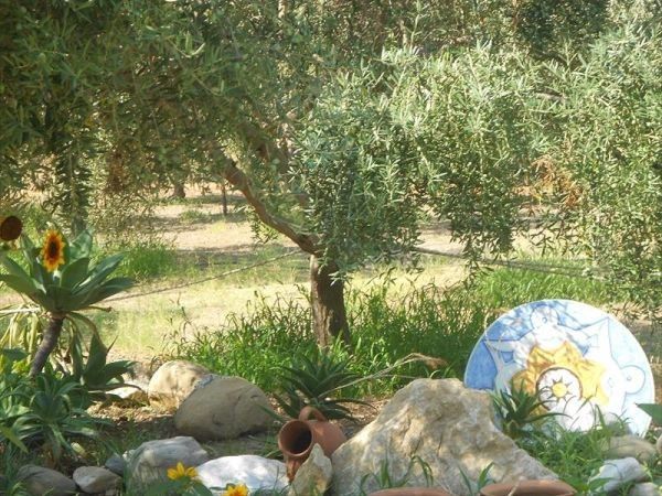 Medimare Residence Club - foto 25941.jpg