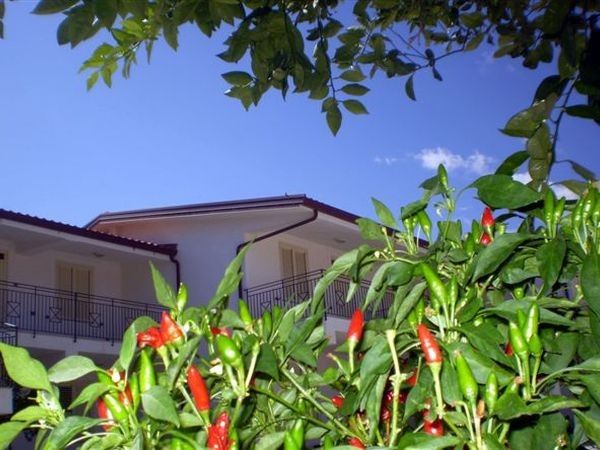 Medimare Residence Club - foto 25946.jpg