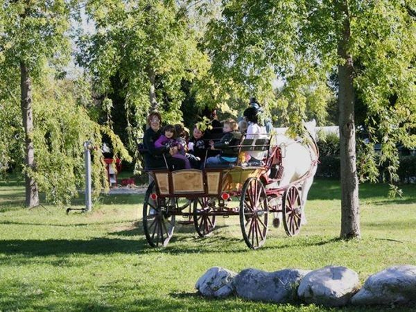 Gelindo dei Magredi Country resort - foto 26006.jpg