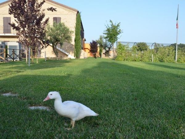 Villa Gens Camuria - foto 26062.jpg