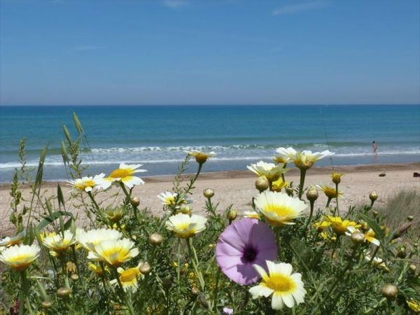 Sabbie Doro Residence - foto 26098.jpg