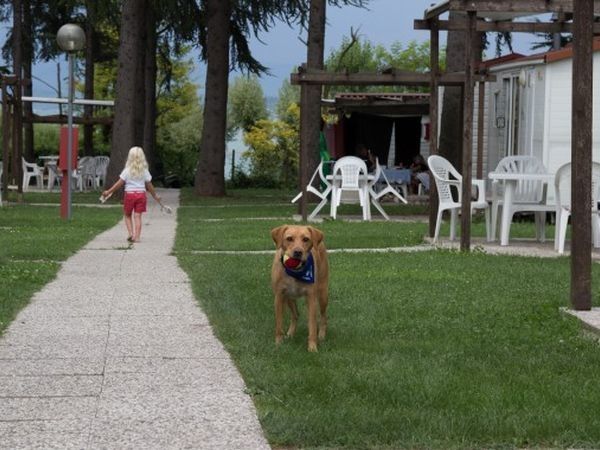 Villaggio San Benedetto - foto 26125.jpg