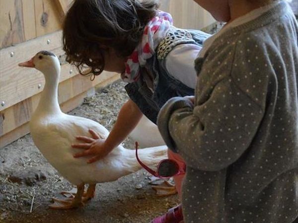 Agriturismo il Giardino - foto 26560.jpg