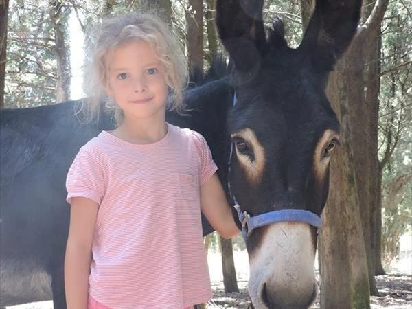 Agriturismo il Giardino - foto 26565.jpg