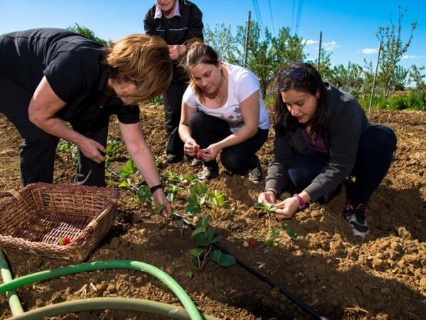 Fattoria Poggio Nebbia - foto 26595.jpg