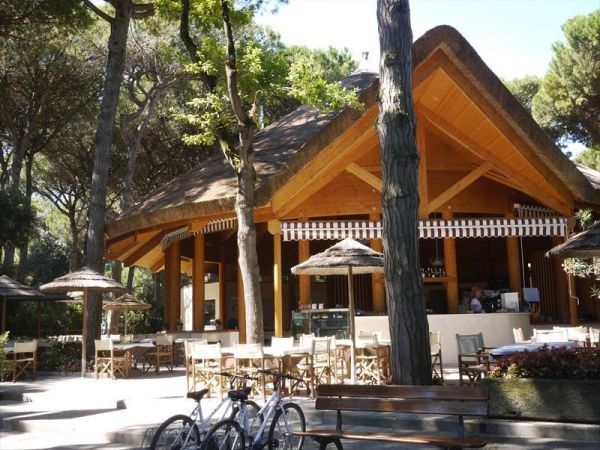 Camping mare e pineta  - foto 26674.jpg