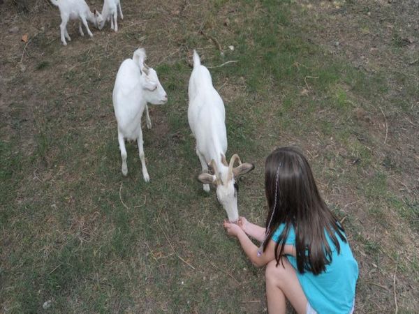Agriturismo Fontelisa - foto 26740.jpg