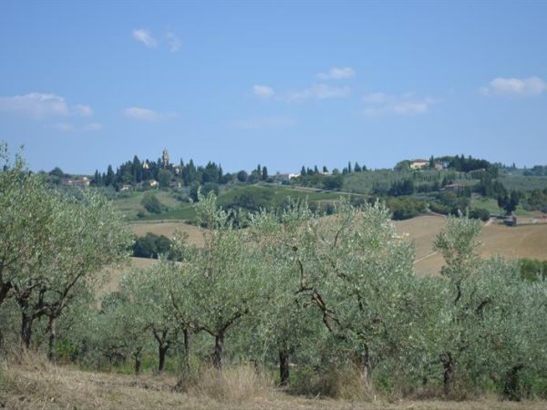 Tenuta Tizzauli - foto 26799.jpg