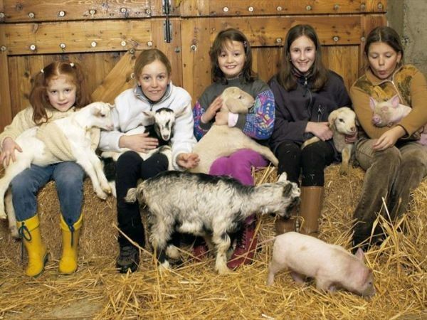 Agriturismo Ferdy - foto 26939.jpg