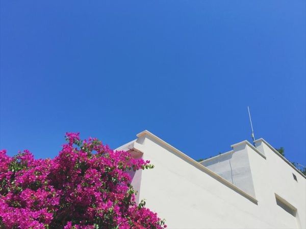 Masseria Macchia e Relais San Pio - foto 27206.jpg