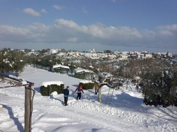 Agriturismo Angelucci - foto 27438.jpg