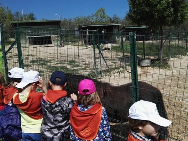 Agriturismo Angelucci - foto 27444.jpg