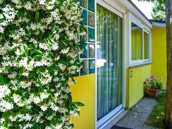 Villaggio Camping delle Rose - foto 27725.jpg