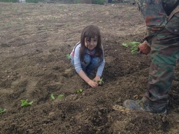 Il Torrino Azienda Agricola - foto 27753.jpg