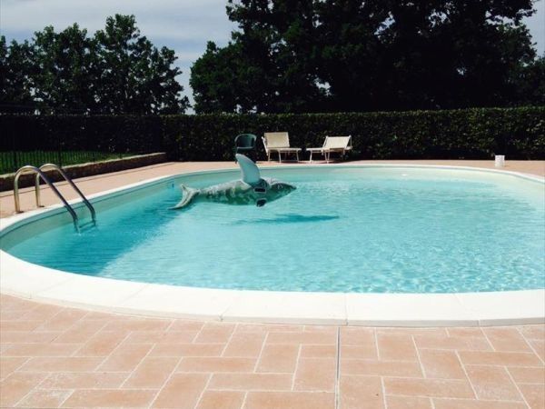 Il Torrino Azienda Agricola - foto 27754.jpg