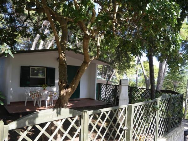 Camping Villaggio Internazionale - foto 27808.jpg