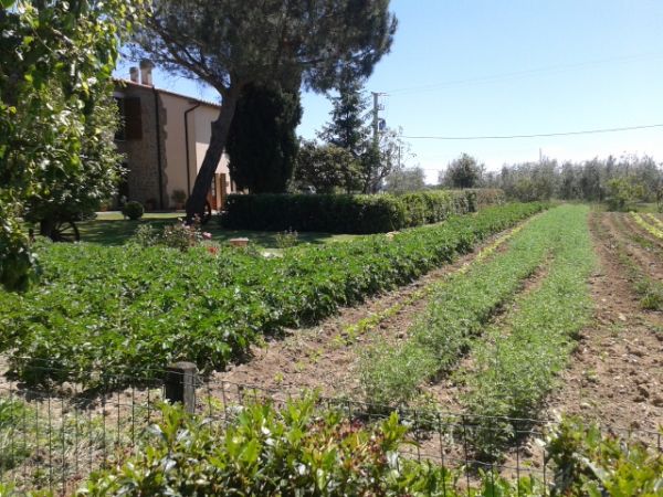 Poderone Vecchio  - foto 27849.jpg