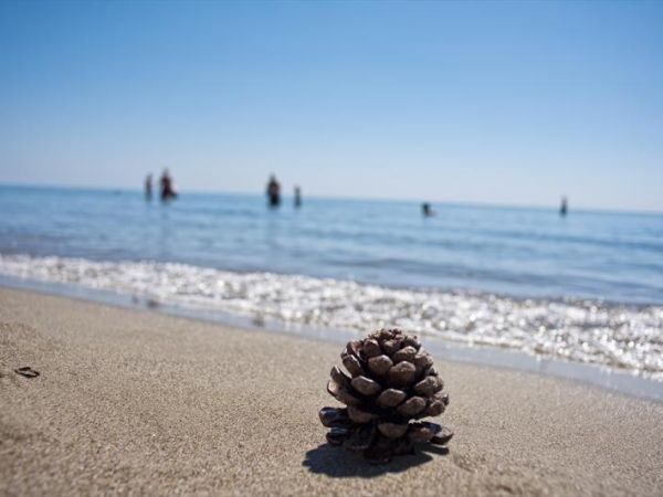 Masseria Macchia e Relais San Pio - foto 28148.jpg