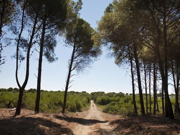 Masseria Macchia e Relais San Pio - foto 28183.jpg