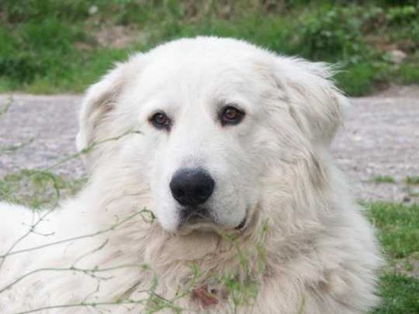 Agriturismo Al-Marnich  - foto 410.jpg