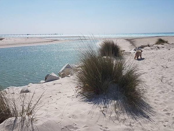 Nonno Alberice Appartamenti - foto 28400.jpg