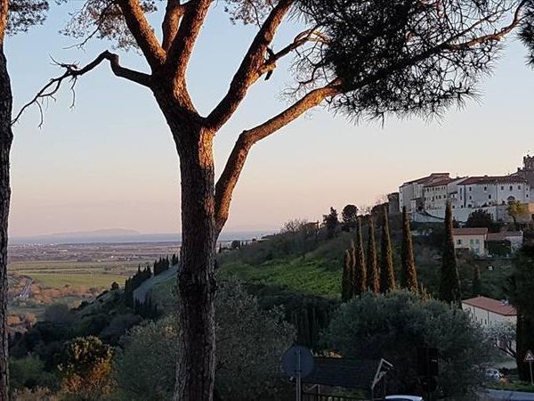 Nonno Alberice Appartamenti - foto 28403.jpg