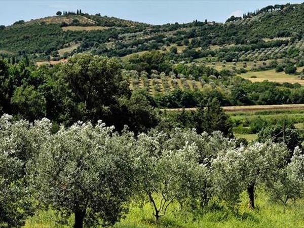 Relais I Piastroni - foto 28446.jpg