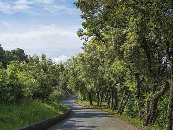 Relais I Piastroni - foto 28457.jpg