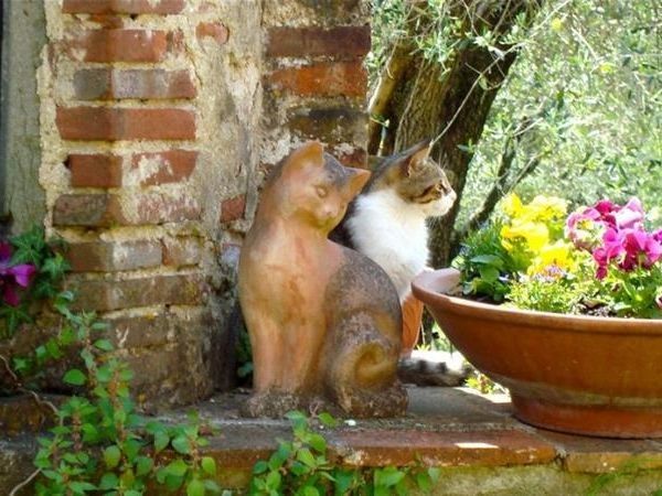 Agriturismo i Pitti - foto 28471.jpg