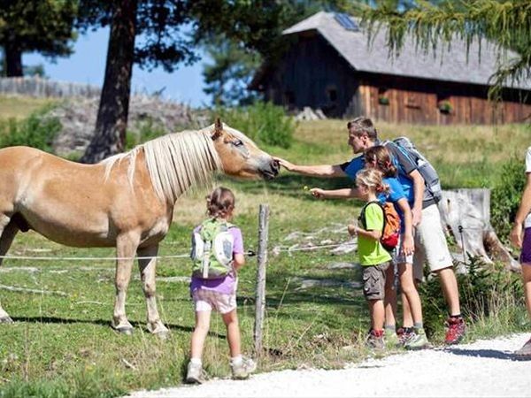 Good Life Hotel Zirm - foto 28684.jpg