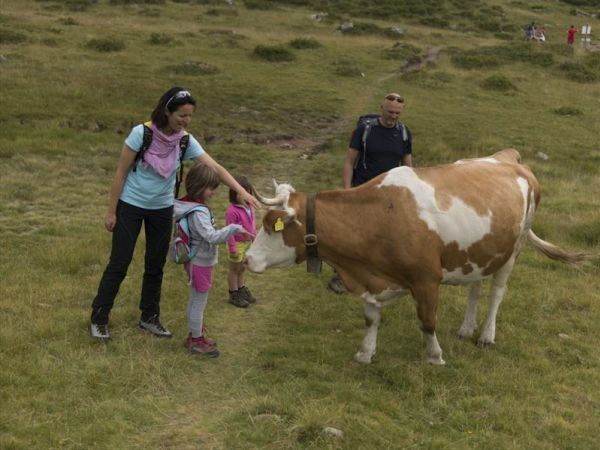 Hotel Genzianella - foto 28698.jpg